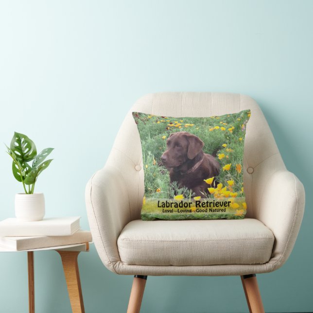 Brown Labrador Dog in Poppy Patch Photograph Cushion (Chair)