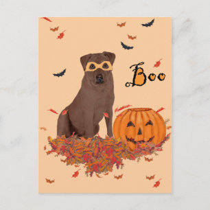 Brown Labrador Retriever Halloween Postcard