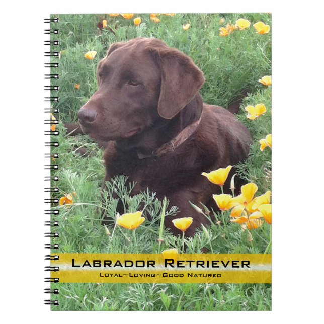 Brown Labrador Retriever In Poppy Patch Photograph Notebook (Front)