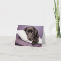 Brown Labrador Retriever Puppy Dog Blank Note Card