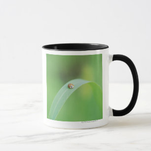 Brown ladybug mug
