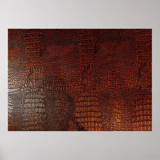 Brown leather textureleather,abstract,antique, ,ba poster (Front)