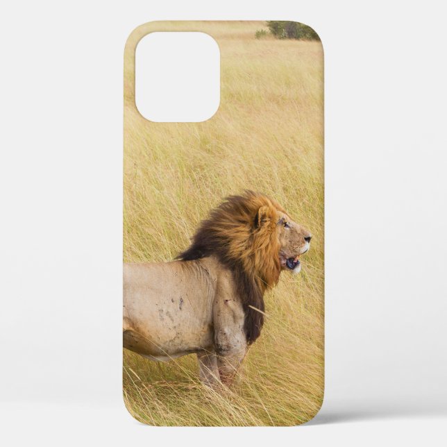 BROWN LION ON GRASS FIELD DURING DAYTIME Case-Mate iPhone CASE (Back)