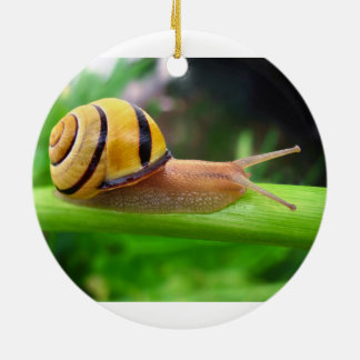 Brown Lipped Snail Cepaea Nemoralis Grove Snail Ceramic Ornament