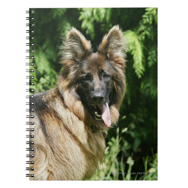 Brown Long Haired German Shepherd 1 Notebook (Front)