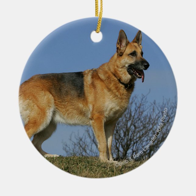 Brown Long Haired German Shepherd 2 Ceramic Ornament (Front)
