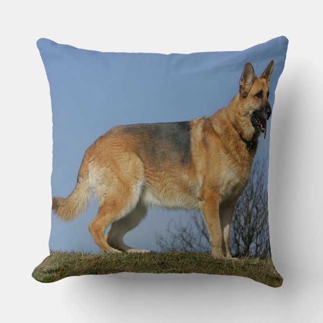 Brown Long Haired German Shepherd 2 Cushion (Front)