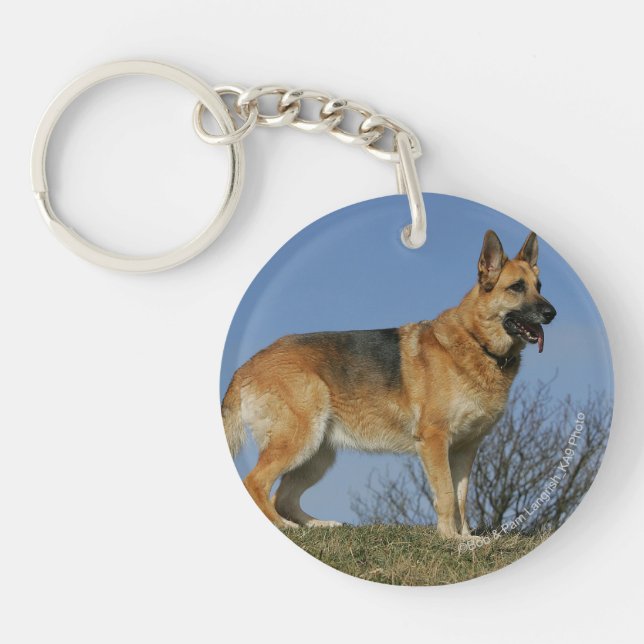 Brown Long Haired German Shepherd 2 Key Ring (Front)
