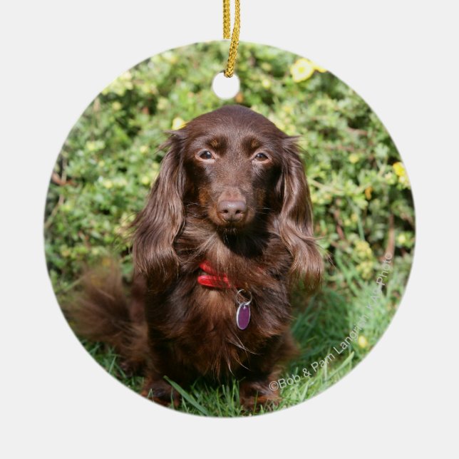 Brown Long-haired Miniature Dachshund Ceramic Tree Decoration (Front)