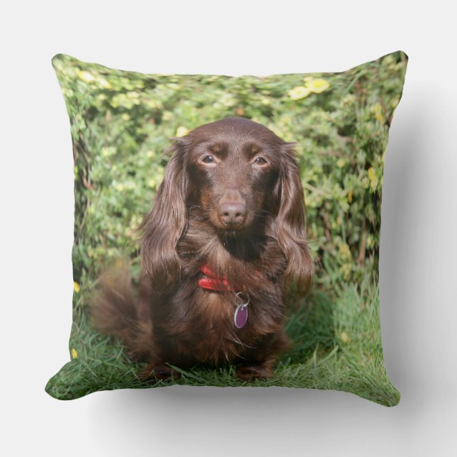 Brown Long-haired Miniature Dachshund Cushion (Front)