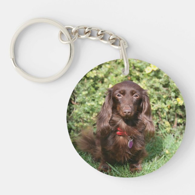 Brown Long-haired Miniature Dachshund Key Ring (Front)