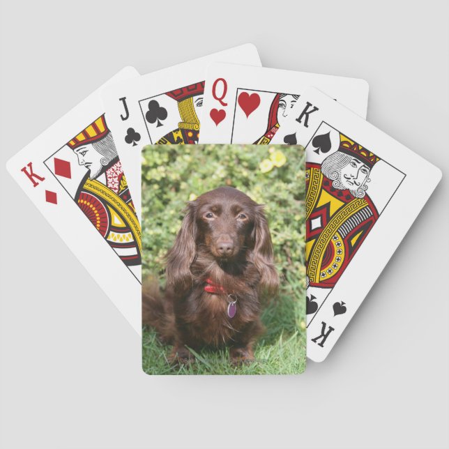 Brown Long-haired Miniature Dachshund Playing Cards (Back)