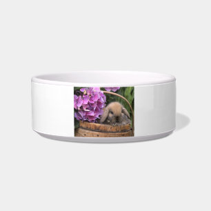Brown Lop-Eared Bunny Rabbit Pet Bowl