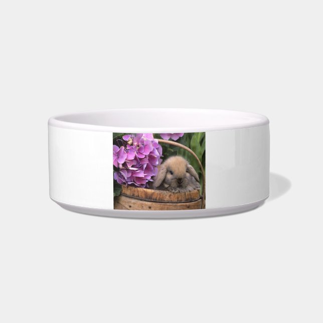 Brown Lop-Eared Bunny Rabbit Pet Bowl (Front)