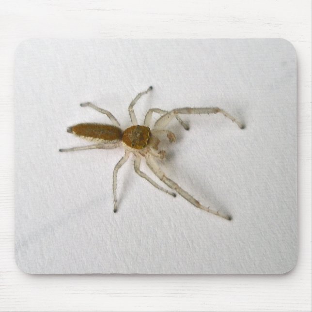 Brown Male Jumping Spider Series Matching Items Mouse Pad (Front)