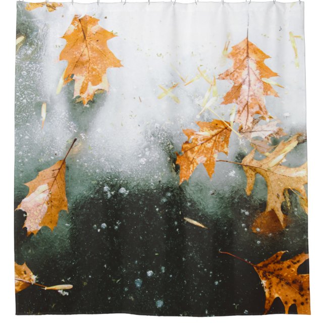 BROWN MAPLE LEAVES ON GLASS SHOWER CURTAIN (Front)
