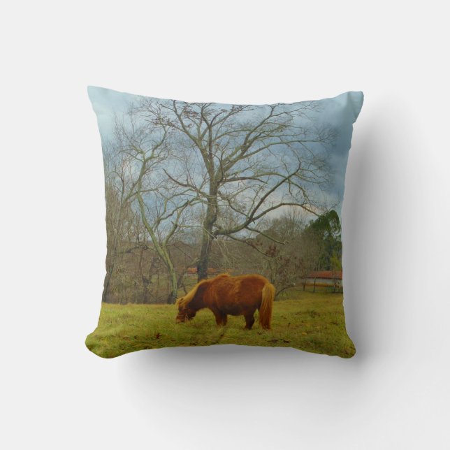 Brown miniature Horse, Cloudy Blue Sky Cushion (Front)
