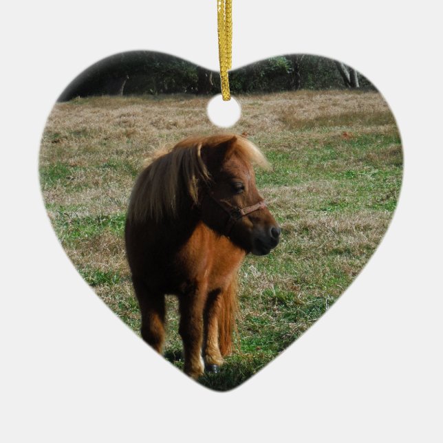 Brown Miniature Horses Ceramic Ornament (Front)