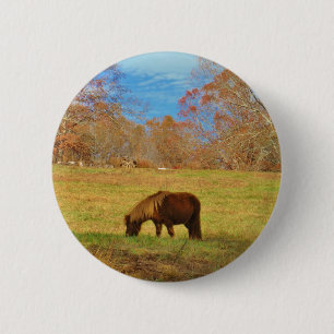 Brown miniature Pony 6 Cm Round Badge