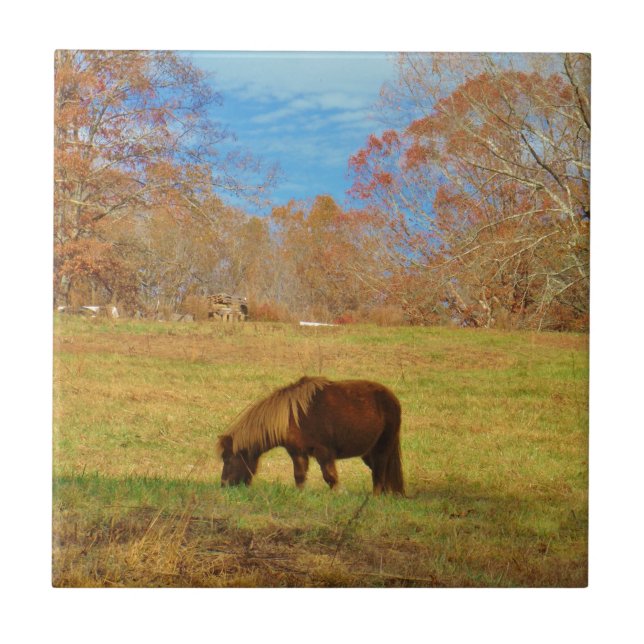 Brown miniature Pony Ceramic Tile (Front)
