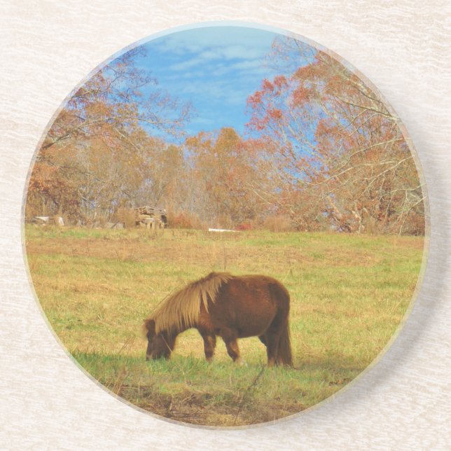 Brown miniature Pony Coaster (Front)