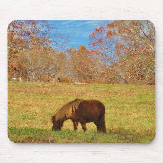 Brown miniature Pony Mouse Pad (Front)