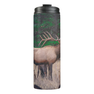 BROWN MOOSE NEAR GREEN TREE AT DAYTIME THERMAL TUMBLER