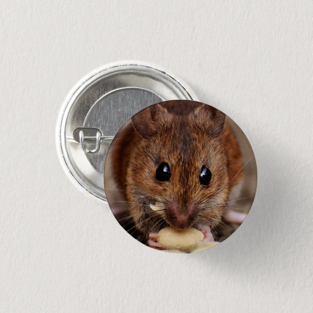 Brown Mouse Eating Peanut Close-up 3 Cm Round Badge (Front & Back)