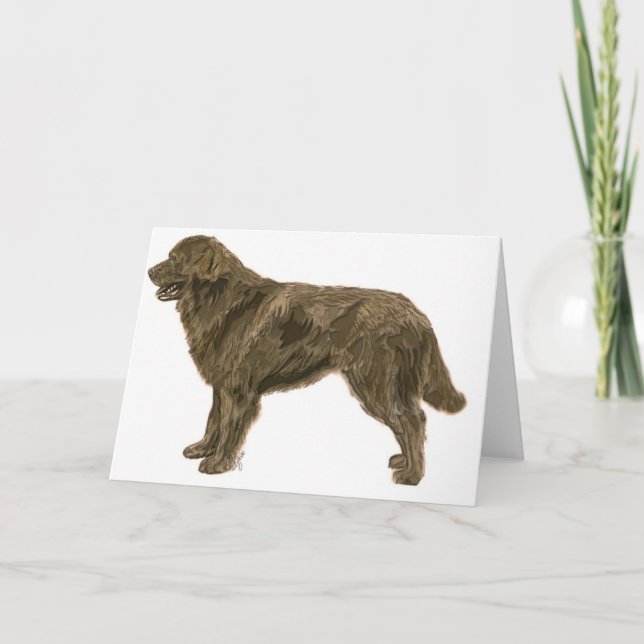 Brown Newfoundland Dog Card (Front)