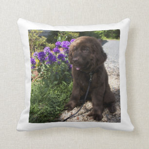 Brown Newfoundland Dog Pup Cushion