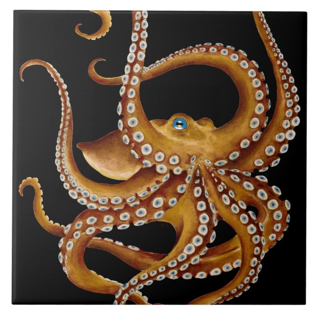 Brown Octopus Blue Eye Black Art Ceramic Tile (Front)