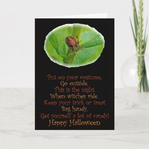 Brown Orange Araneus Halloween Card