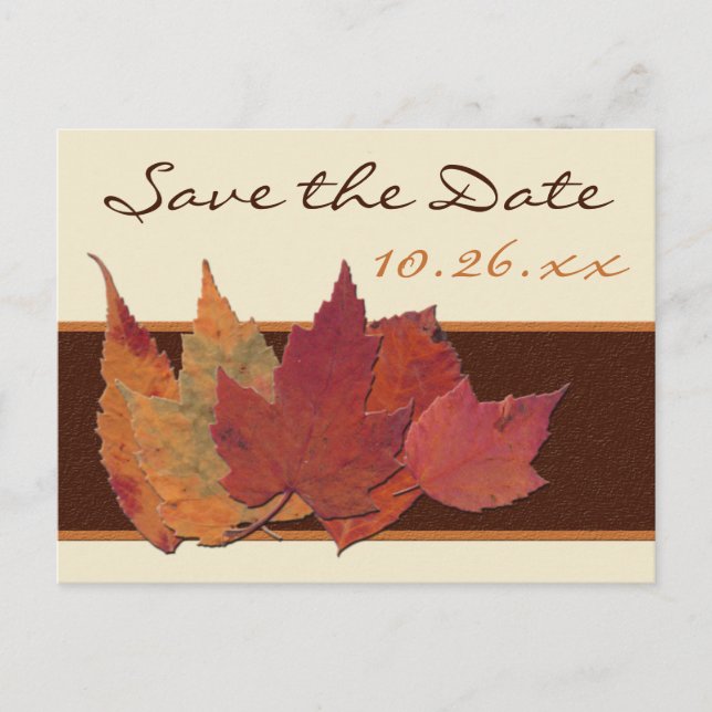 Brown Orange ivory Dried Leaves Save Date Postcard (Front)