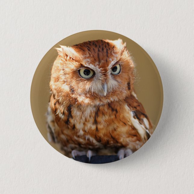 Brown Owl 6 Cm Round Badge (Front)