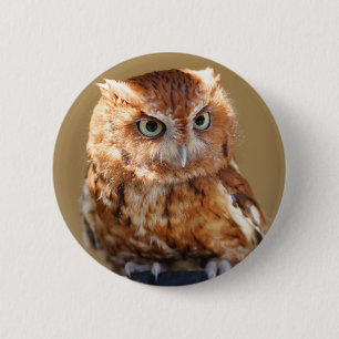 Brown Owl 6 Cm Round Badge