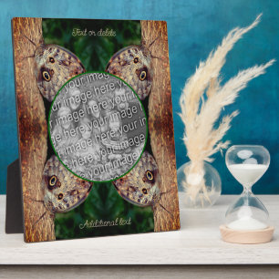 Brown Owl Butterfly Create Your Own Photo Plaque
