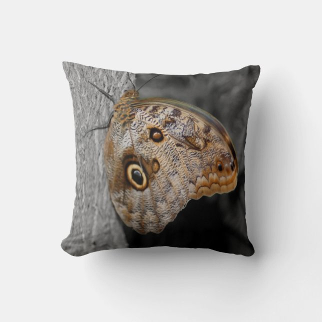 Brown Owl Butterfly Nature  Cushion (Front)