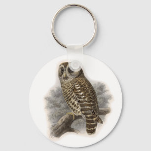 Brown Owl Key Ring