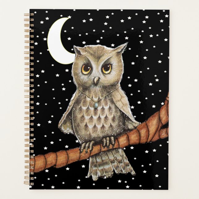 Brown Owl Pretty Eyes Blue Necklace Moon Stars Planner (Front)