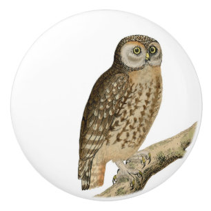Brown Owl vintage art Ceramic Knob