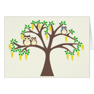 Brown Owls in a Laburnum Tree
