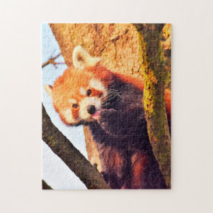 Brown Panda Bears. Jigsaw Puzzle