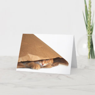 Brown paper bag cat card