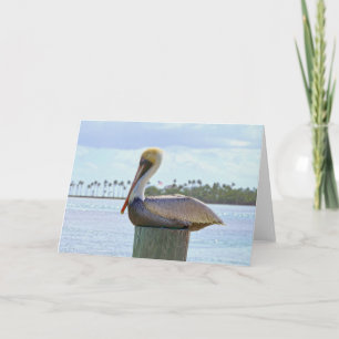 Brown Pelican and Palm Trees Card