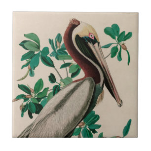 Brown Pelican Birds of America Audubon Print Ceramic Tile