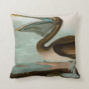 Brown Pelican Birds of America Audubon Print Cushion