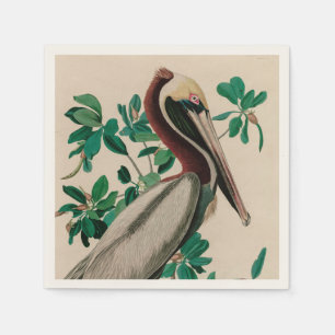 Brown Pelican Birds of America Audubon Print Napkin