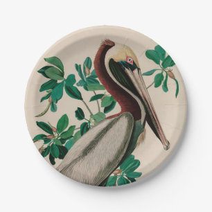 Brown Pelican Birds of America Audubon Print Paper Plate