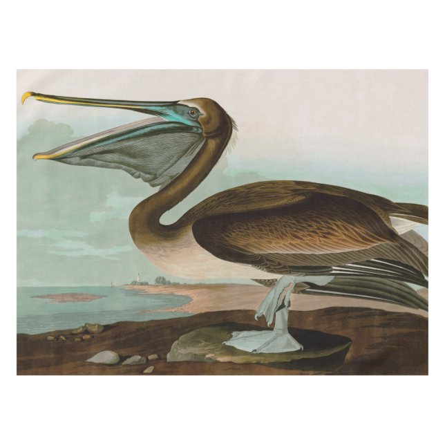 Brown Pelican Birds of America Audubon Print Tablecloth (Front (Horizontal))