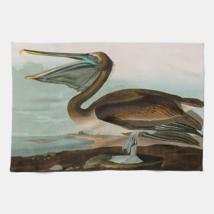 Brown Pelican Birds of America Audubon Print Tea Towel
